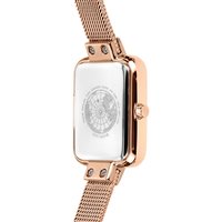 Orologio Bering Donna in Acciaio 14520-364 - 14520-364